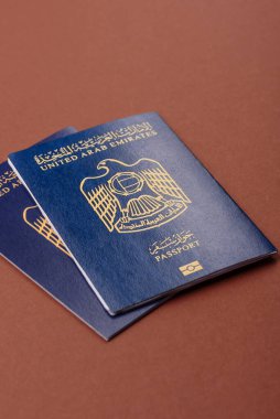 Seyahat etmek, uçmak ve iş yapmak için OAE pasaportu. Sınırı geçmek için Arapça belge