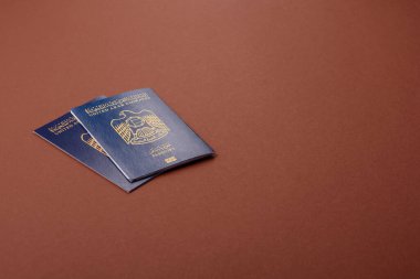 Seyahat etmek, uçmak ve iş yapmak için OAE pasaportu. Sınırı geçmek için Arapça belge