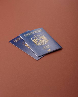 Seyahat etmek, uçmak ve iş yapmak için OAE pasaportu. Sınırı geçmek için Arapça belge