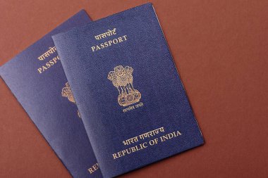 Seyahat etmek, uçmak ve iş yapmak için Hindistan pasaportu. Hindistan belgesi, sınırı geçmek için kimlik