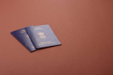 Seyahat etmek, uçmak ve iş yapmak için Hindistan pasaportu. Hindistan belgesi, sınırı geçmek için kimlik