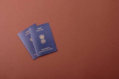 Seyahat etmek, uçmak ve iş yapmak için Hindistan pasaportu. Hindistan belgesi, sınırı geçmek için kimlik