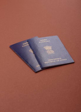 Seyahat etmek, uçmak ve iş yapmak için Hindistan pasaportu. Hindistan belgesi, sınırı geçmek için kimlik