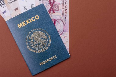 Seyahat etmek, uçmak ve iş yapmak için Meksika pasaportu. Meksika belgesi, sınırı geçmek için kimlik