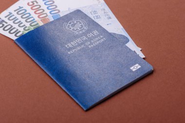 Seyahat etmek, uçmak ve iş yapmak için Kore pasaportu. Güney Kore belgesi, sınırı geçmek için kimlik