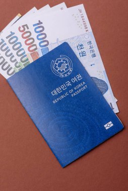 Seyahat etmek, uçmak ve iş yapmak için Kore pasaportu. Güney Kore belgesi, sınırı geçmek için kimlik