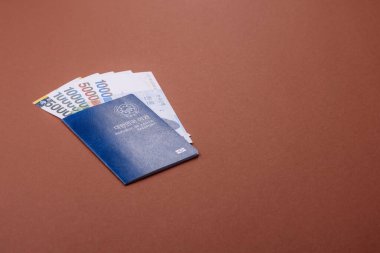 Seyahat etmek, uçmak ve iş yapmak için Kore pasaportu. Güney Kore belgesi, sınırı geçmek için kimlik