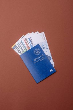 Seyahat etmek, uçmak ve iş yapmak için Kore pasaportu. Güney Kore belgesi, sınırı geçmek için kimlik