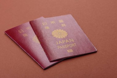 Seyahat etmek, uçmak ve iş yapmak için Japon pasaportu. Japonya belgesi, sınırı geçmek için kimlik