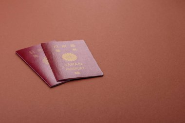 Seyahat etmek, uçmak ve iş yapmak için Japon pasaportu. Japonya belgesi, sınırı geçmek için kimlik