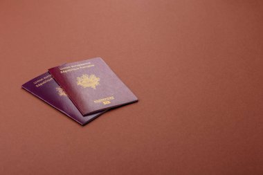 Seyahat etmek, uçmak ve iş yapmak için Fransız pasaportu. Fransa belgesi, sınırı geçmek için kimlik