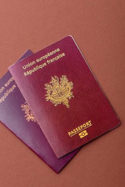 Seyahat etmek, uçmak ve iş yapmak için Fransız pasaportu. Fransa belgesi, sınırı geçmek için kimlik