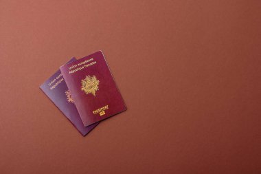 Seyahat etmek, uçmak ve iş yapmak için Fransız pasaportu. Fransa belgesi, sınırı geçmek için kimlik