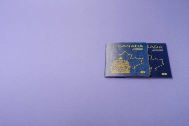 Seyahat etmek, uçmak ve iş yapmak için Kanada pasaportu. Kanada belgesi, sınırı geçmek için kimlik