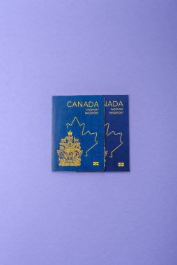 Seyahat etmek, uçmak ve iş yapmak için Kanada pasaportu. Kanada belgesi, sınırı geçmek için kimlik