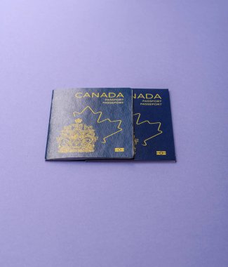 Seyahat etmek, uçmak ve iş yapmak için Kanada pasaportu. Kanada belgesi, sınırı geçmek için kimlik