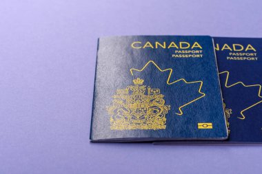 Seyahat etmek, uçmak ve iş yapmak için Kanada pasaportu. Kanada belgesi, sınırı geçmek için kimlik