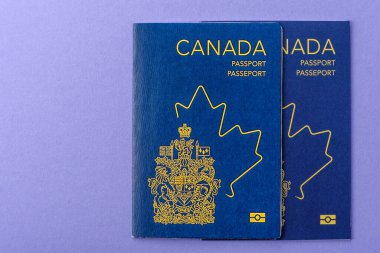 Seyahat etmek, uçmak ve iş yapmak için Kanada pasaportu. Kanada belgesi, sınırı geçmek için kimlik