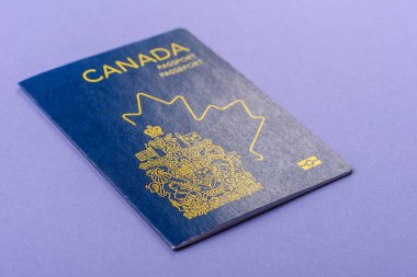 Seyahat etmek, uçmak ve iş yapmak için Kanada pasaportu. Kanada belgesi, sınırı geçmek için kimlik