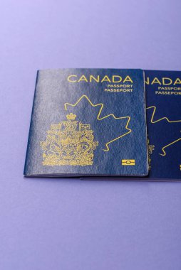 Seyahat etmek, uçmak ve iş yapmak için Kanada pasaportu. Kanada belgesi, sınırı geçmek için kimlik