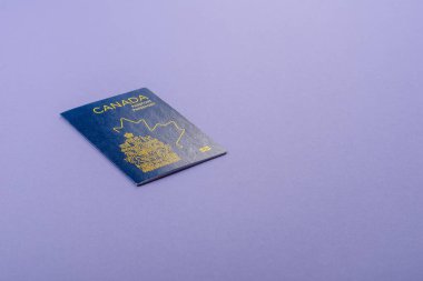 Seyahat etmek, uçmak ve iş yapmak için Kanada pasaportu. Kanada belgesi, sınırı geçmek için kimlik