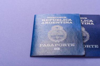 Seyahat etmek, uçmak ve iş yapmak için Arjantin pasaportu. Arjantin belgesi, sınırı geçmek için kimlik