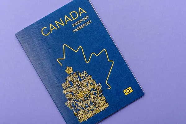 Seyahat etmek, uçmak ve iş yapmak için Kanada pasaportu. Kanada belgesi, sınırı geçmek için kimlik