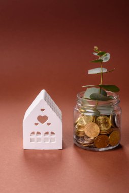Tasarruf ve mali yatırım kavramı olarak bir kavanozda madeni para ve bitki. Parayla dolu cam bir kavanozda yeşil dal
