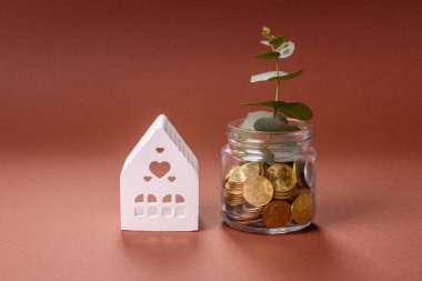 Tasarruf ve mali yatırım kavramı olarak bir kavanozda madeni para ve bitki. Parayla dolu cam bir kavanozda yeşil dal