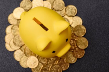 Piggy Bank madeni bir kavramsal arka plan olarak madeni paralar, iş yapmak, para biriktirmek, vergi ödemek ve borçları ödemek