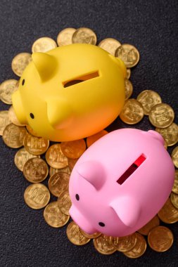 Piggy Bank madeni bir kavramsal arka plan olarak madeni paralar, iş yapmak, para biriktirmek, vergi ödemek ve borçları ödemek