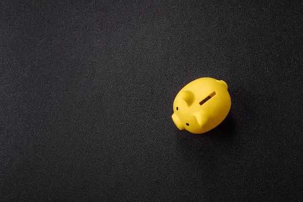 Piggy Bank madeni bir kavramsal arka plan olarak madeni paralar, iş yapmak, para biriktirmek, vergi ödemek ve borçları ödemek