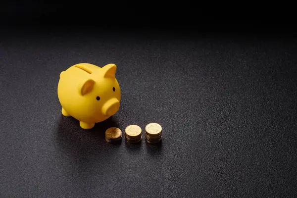 Piggy Bank madeni bir kavramsal arka plan olarak madeni paralar, iş yapmak, para biriktirmek, vergi ödemek ve borçları ödemek