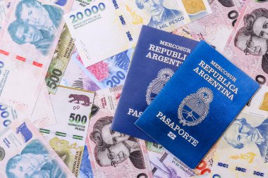 Seyahat etmek, uçmak ve iş yapmak için Arjantin pasaportu. Arjantin belgesi, sınırı geçmek için kimlik