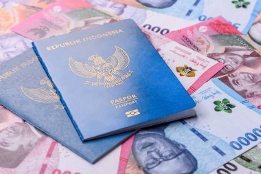Seyahat, uçmak ve iş yapmak için Endonezya pasaportu. Endonezya belgesi, sınırı geçmek için kimlik