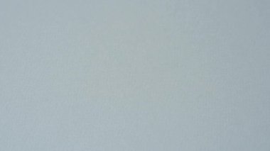 Seyahat etmek, uçmak ve iş yapmak için Meksika pasaportu. Meksika belgesi, sınırı geçmek için kimlik