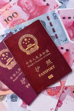 Çin Vatandaş Pasaportu, Küresel iş, göç veya seyahat için Çin belgesi