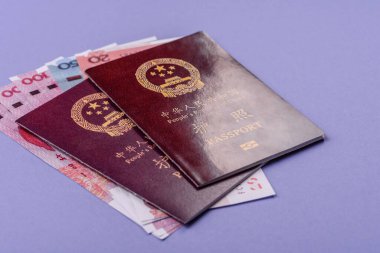 Çin Vatandaş Pasaportu, Küresel iş, göç veya seyahat için Çin belgesi