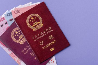 Çin Vatandaş Pasaportu, Küresel iş, göç veya seyahat için Çin belgesi