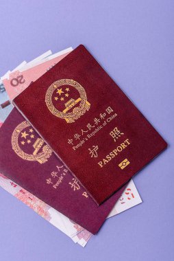 Çin Vatandaş Pasaportu, Küresel iş, göç veya seyahat için Çin belgesi