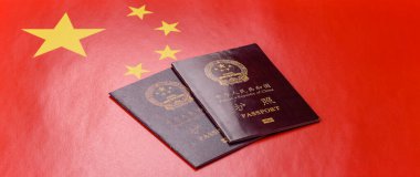Çin Vatandaş Pasaportu, Küresel iş, göç veya seyahat için Çin belgesi