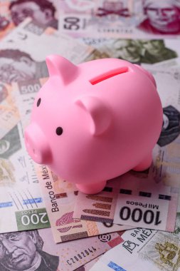 Para, Meksika parası, peso banknotlar. Meksika pezosu şeklinde kavramsal mali altyapı