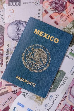 Seyahat etmek, uçmak ve iş yapmak için Meksika pasaportu. Meksika belgesi, sınırı geçmek için kimlik