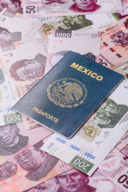 Seyahat etmek, uçmak ve iş yapmak için Meksika pasaportu. Meksika belgesi, sınırı geçmek için kimlik