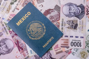 Seyahat etmek, uçmak ve iş yapmak için Meksika pasaportu. Meksika belgesi, sınırı geçmek için kimlik