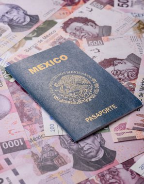 Seyahat etmek, uçmak ve iş yapmak için Meksika pasaportu. Meksika belgesi, sınırı geçmek için kimlik