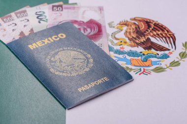 Seyahat etmek, uçmak ve iş yapmak için Meksika pasaportu. Meksika belgesi, sınırı geçmek için kimlik