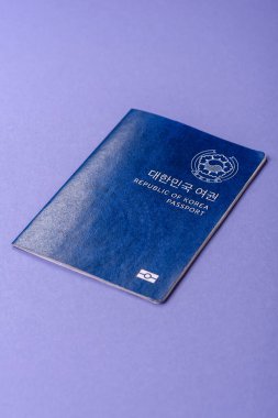 Seyahat etmek, uçmak ve iş yapmak için Kore pasaportu. Güney Kore belgesi, sınırı geçmek için kimlik
