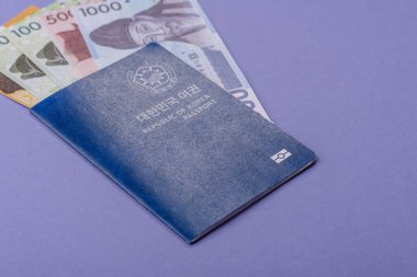 Seyahat etmek, uçmak ve iş yapmak için Kore pasaportu. Güney Kore belgesi, sınırı geçmek için kimlik