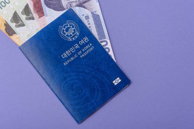 Seyahat etmek, uçmak ve iş yapmak için Kore pasaportu. Güney Kore belgesi, sınırı geçmek için kimlik